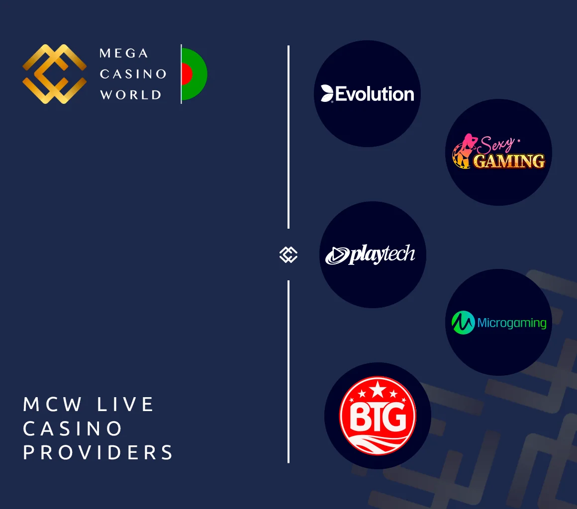MCW exclusively partners with reputable and vetted casino software providers.