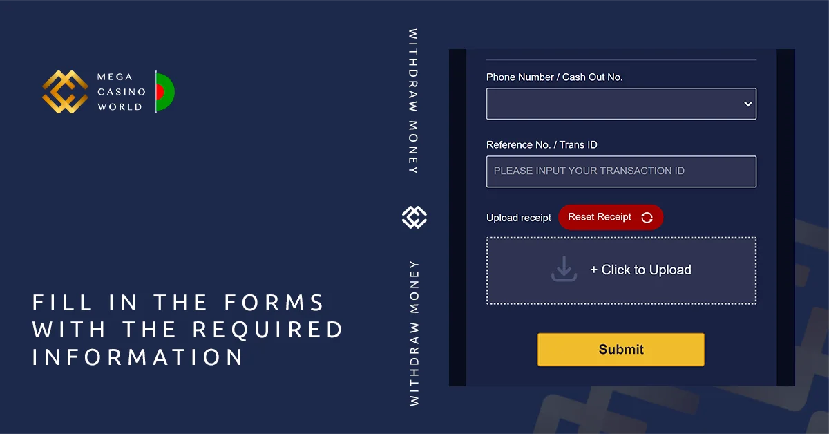 Provide the required banking details on the MCW payment page.